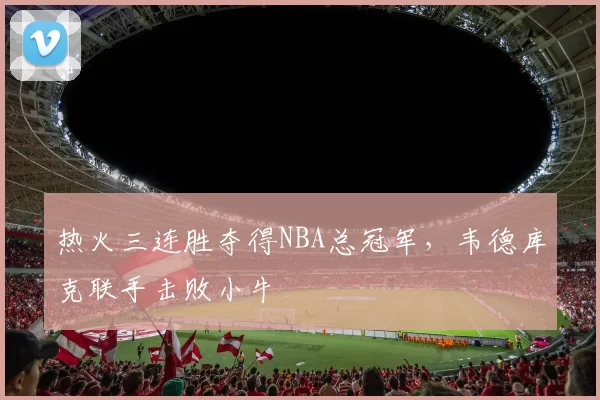 热火三连胜夺得NBA总冠军，韦德库克联手击败小牛
