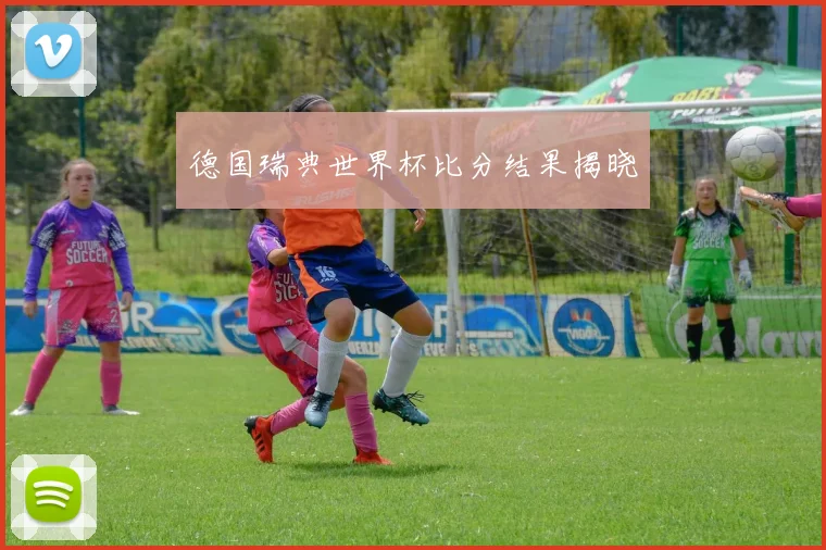 德国瑞典世界杯比分结果揭晓